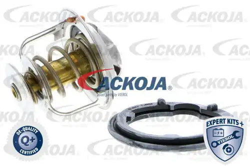 термостат, охладителна течност ACKOJA A26-99-0009
