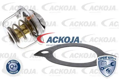 термостат, охладителна течност ACKOJA A32-99-0004