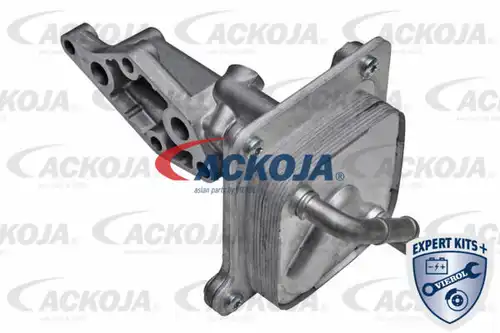 маслен радиатор, двигателно масло ACKOJA A38-60-0005