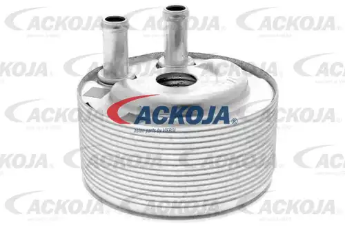 маслен радиатор, двигателно масло ACKOJA A38-60-0007