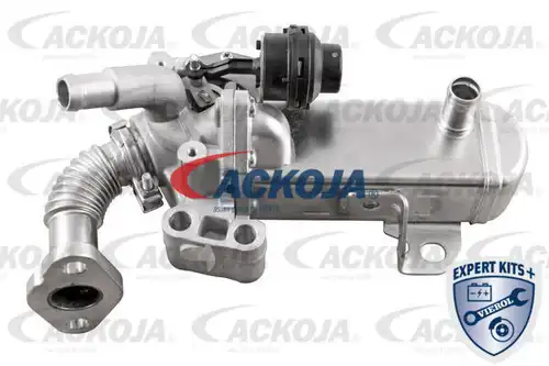 AGR-Клапан ACKOJA A38-63-0004