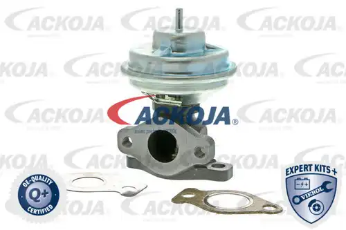 AGR-Клапан ACKOJA A52-63-0001