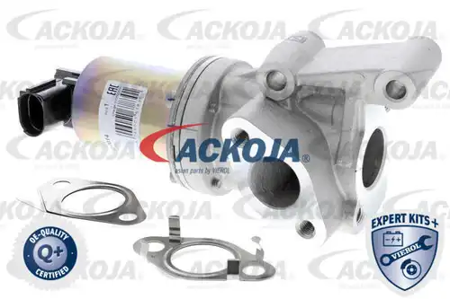 AGR-Клапан ACKOJA A52-63-0014