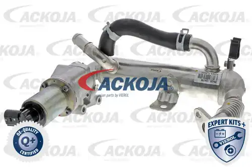 AGR-Клапан ACKOJA A52-63-0018