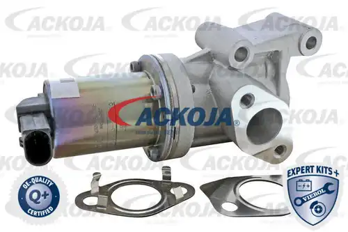 AGR-Клапан ACKOJA A52-63-0020
