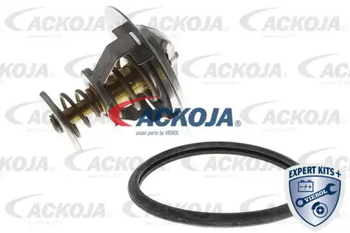 термостат, охладителна течност ACKOJA A52-99-0005