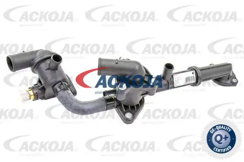 термостат, охладителна течност ACKOJA A52-99-0021