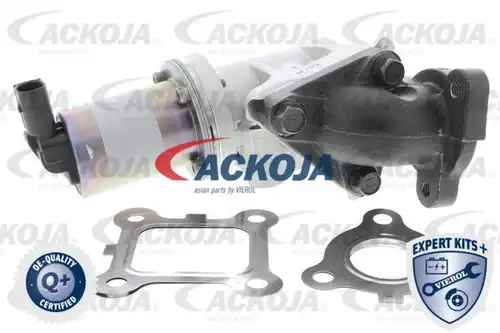 AGR-Клапан ACKOJA A53-63-0001