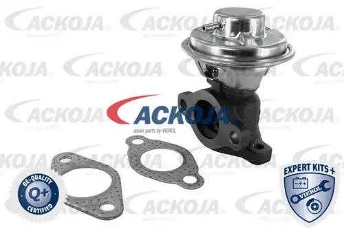 AGR-Клапан ACKOJA A53-63-0002