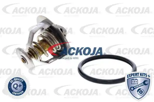 термостат, охладителна течност ACKOJA A70-99-0003