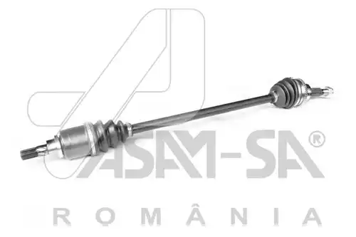 полуоска ASAM AUTOMOTIVE 30954