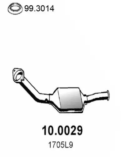 катализатор ASSO 10.0029
