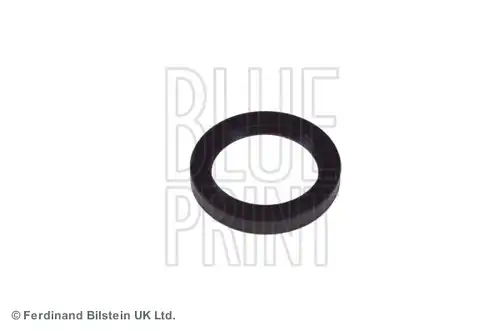 семеринг, колянов вал BLUE PRINT ADJ136112