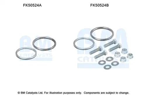  BM CATALYSTS FK50524