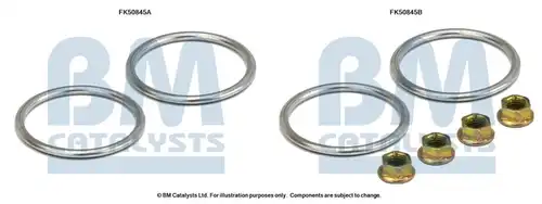  BM CATALYSTS FK50845