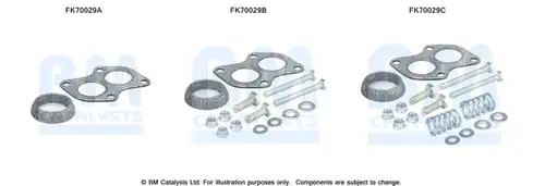  BM CATALYSTS FK70029