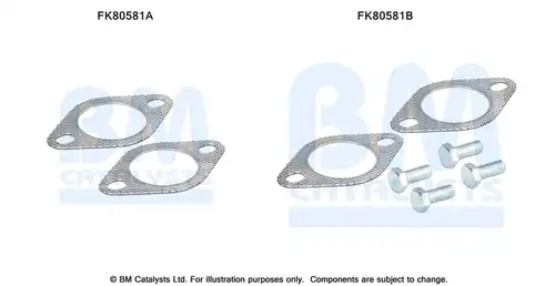  BM CATALYSTS FK80581