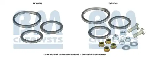  BM CATALYSTS FK90856