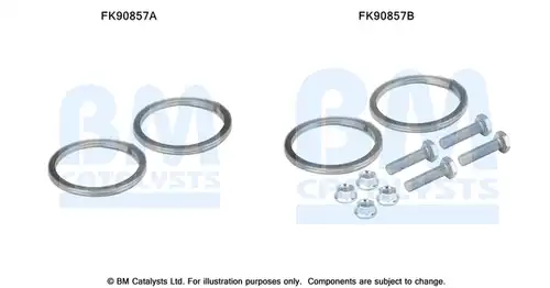  BM CATALYSTS FK90857