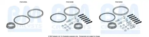 Монтажен комплект, изпускателна система BM CATALYSTS FK91259