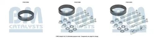  BM CATALYSTS FK91329