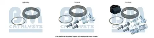  BM CATALYSTS FK91353