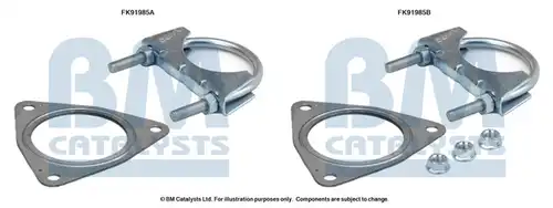  BM CATALYSTS FK91985