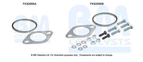  BM CATALYSTS FK92066