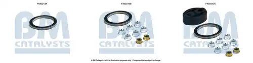  BM CATALYSTS FK92213