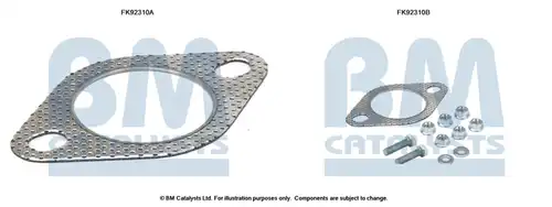  BM CATALYSTS FK92310