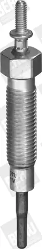 Подгревна свещ BorgWarner (BERU) GN067