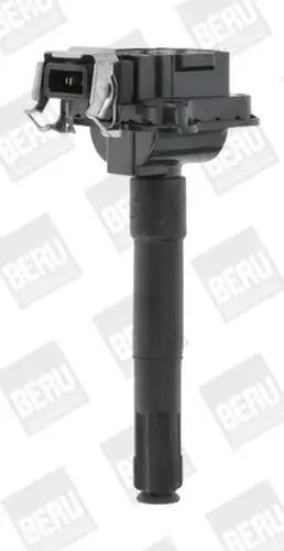 запалителна бобина BorgWarner (BERU) ZS017