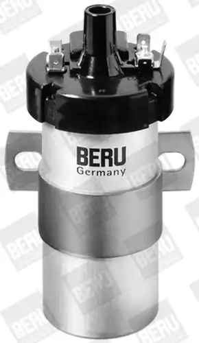 запалителна бобина BorgWarner (BERU) ZS123