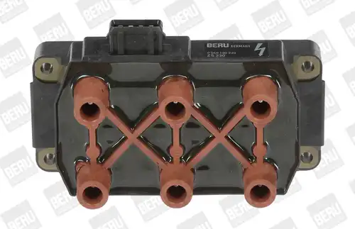 запалителна бобина BorgWarner (BERU) ZS230
