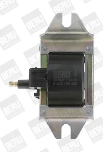 запалителна бобина BorgWarner (BERU) ZS250