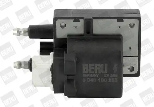 запалителна бобина BorgWarner (BERU) ZS255