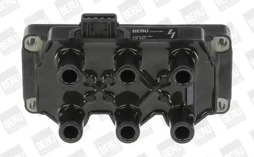 запалителна бобина BorgWarner (BERU) ZS301