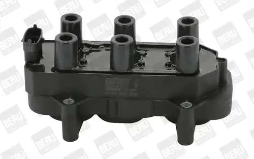 запалителна бобина BorgWarner (BERU) ZS306