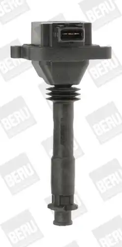 запалителна бобина BorgWarner (BERU) ZS310