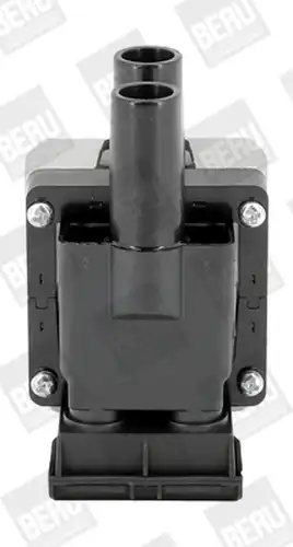 запалителна бобина BorgWarner (BERU) ZS313