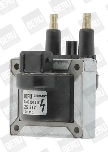 запалителна бобина BorgWarner (BERU) ZS317