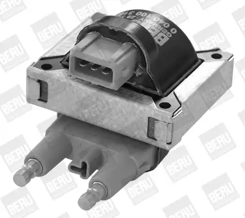 запалителна бобина BorgWarner (BERU) ZS318