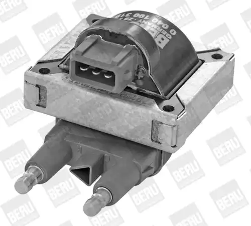запалителна бобина BorgWarner (BERU) ZS319
