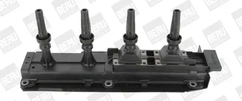 запалителна бобина BorgWarner (BERU) ZS349