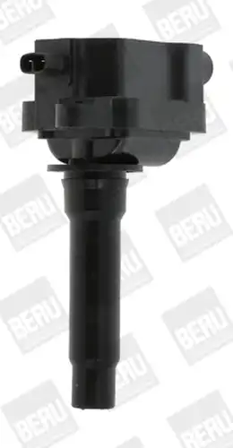 запалителна бобина BorgWarner (BERU) ZS434