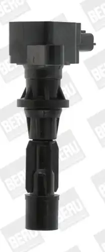запалителна бобина BorgWarner (BERU) ZS488