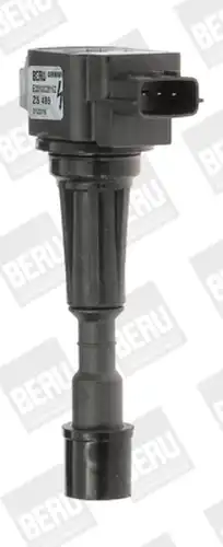 запалителна бобина BorgWarner (BERU) ZS489
