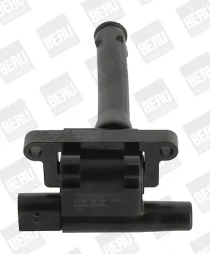 запалителна бобина BorgWarner (BERU) ZS501