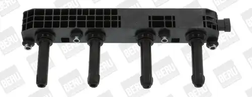 запалителна бобина BorgWarner (BERU) ZS508