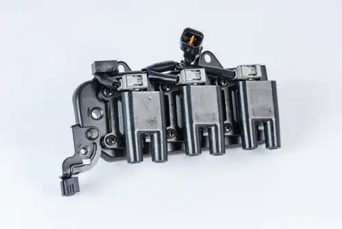 запалителна бобина BorgWarner (BERU) ZS555